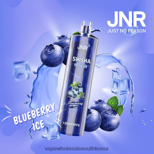 Vape Wholesale South Korea ZH46LV671 - JNR SHISHA 블루베리 아이스