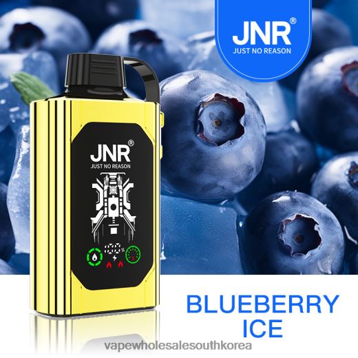 전자담배 한국 ZH46LV617 - JNR SHISHA BOX 블루베리 아이스